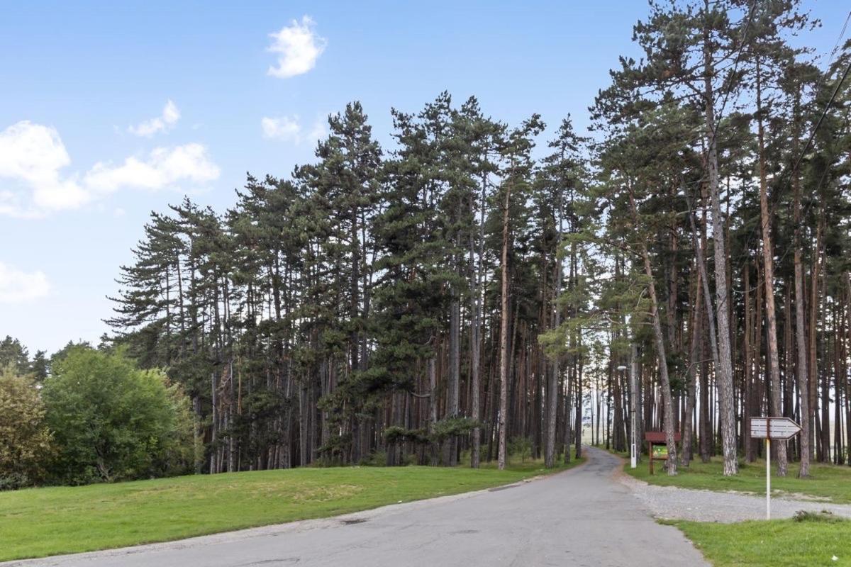 Săcele Casa Georgeaヴィラ エクステリア 写真